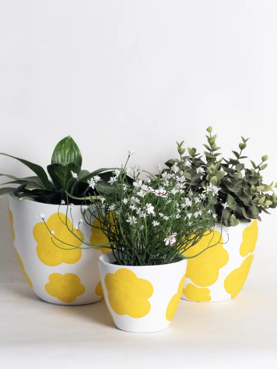 Classic Ceramic Planter — 8" Dia × 3.5" Height — Primary View