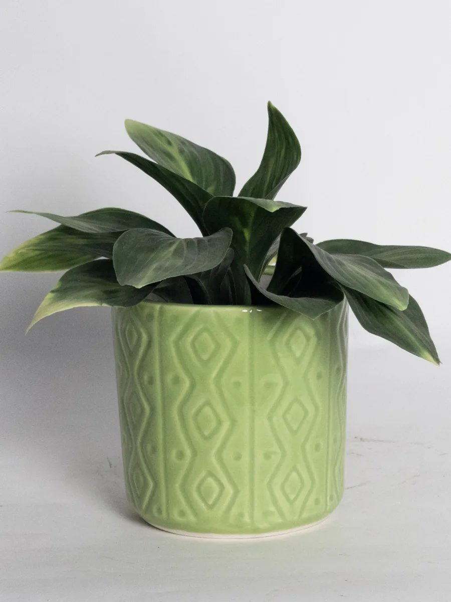 Classic Ceramic Planter Set of 3 (3" Dia) — Primary View