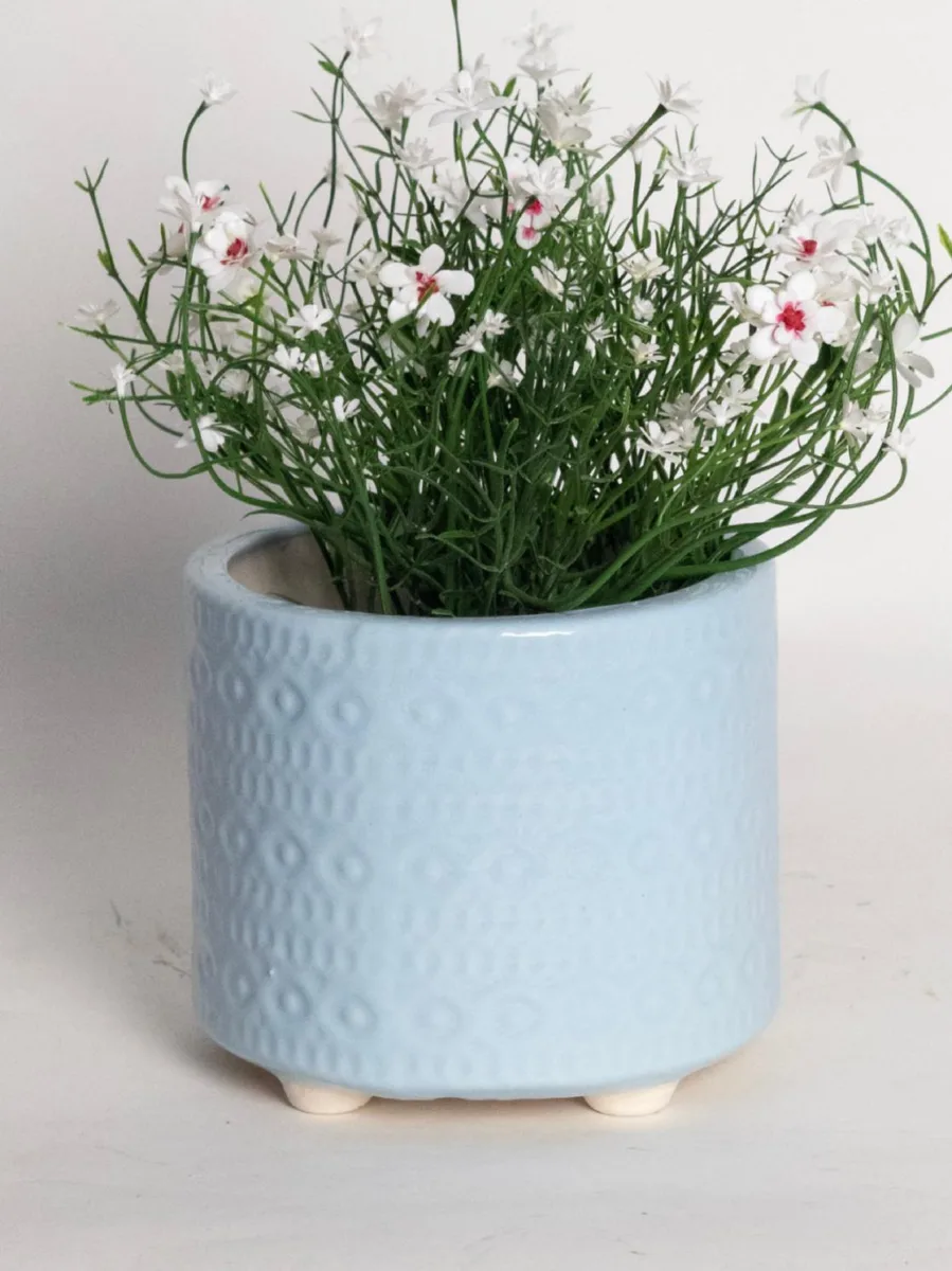 Classic Ceramic Planter Set of 3 (3" Dia) — Primary View
