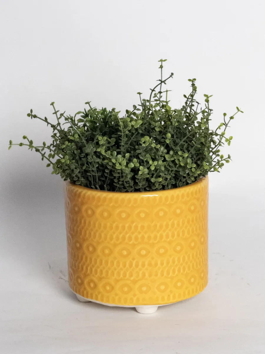 Classic Ceramic Planter — 5" Dia × 5" Height — Primary View