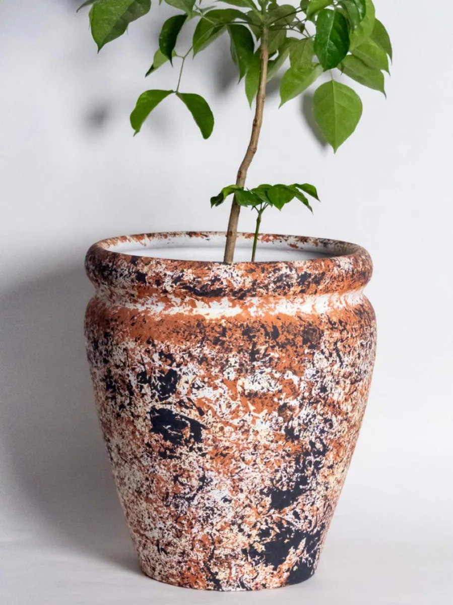 Classic Ceramic Planter — 5.5" Dia × 5" Height — Primary View
