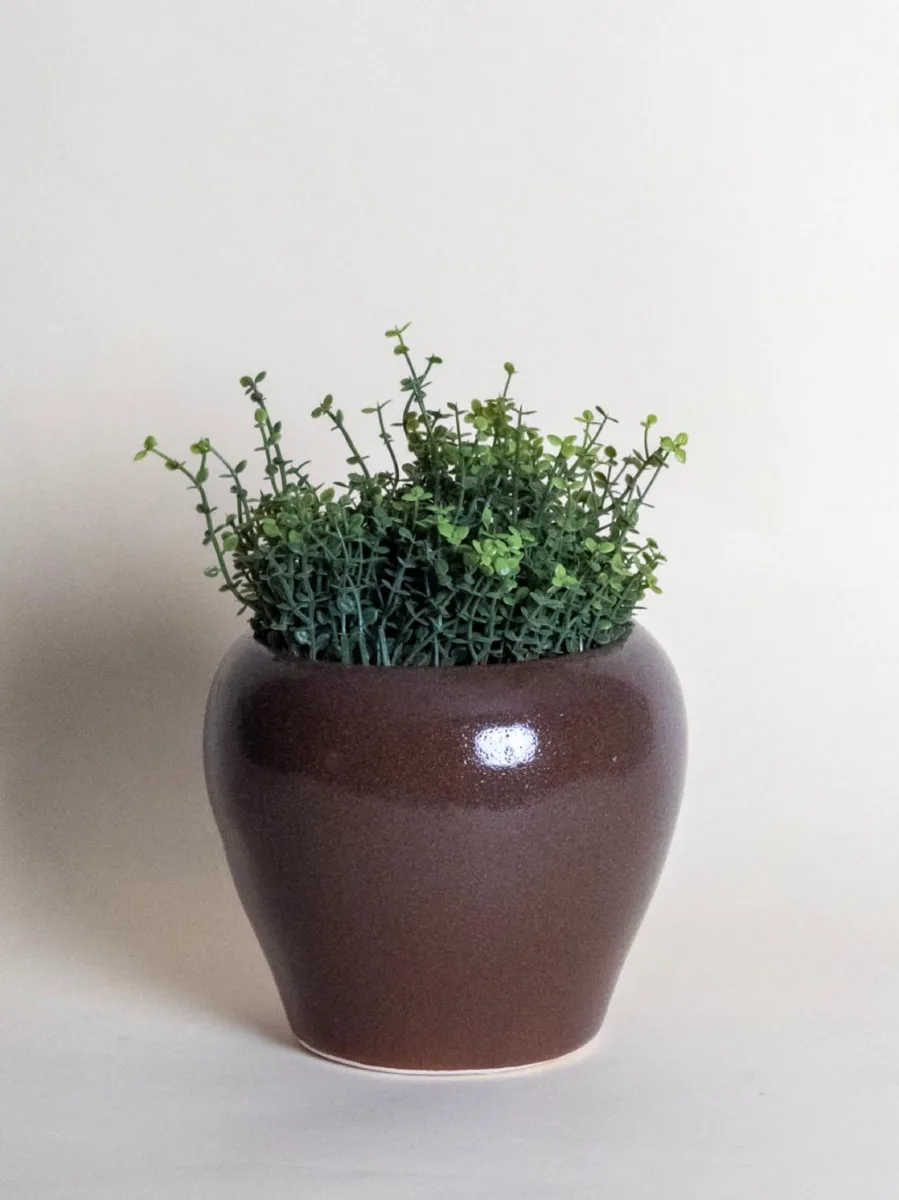 Classic Ceramic Planter — 5.5" Dia × 5" Height — Primary View