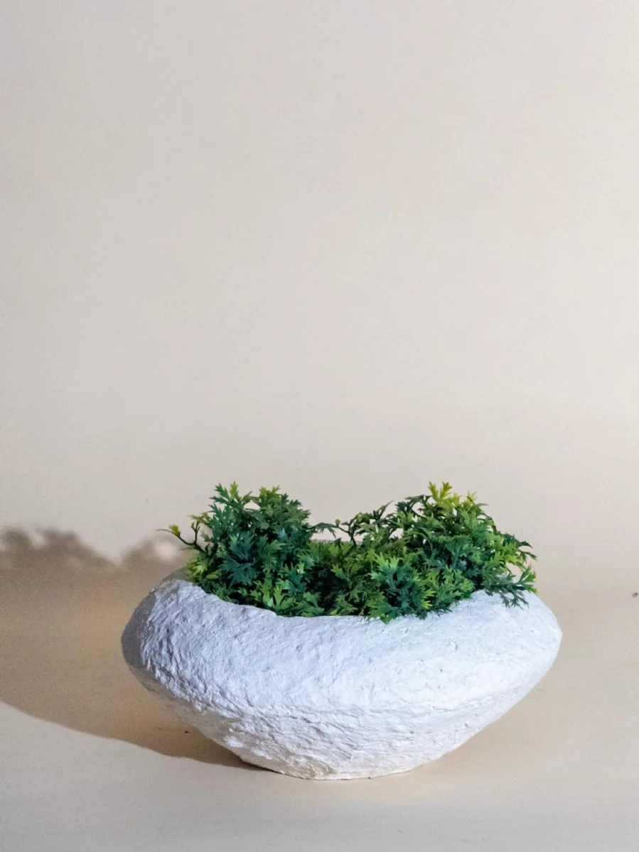 Classic Ceramic Planter — 5.5" Dia × 5" Height — Primary View