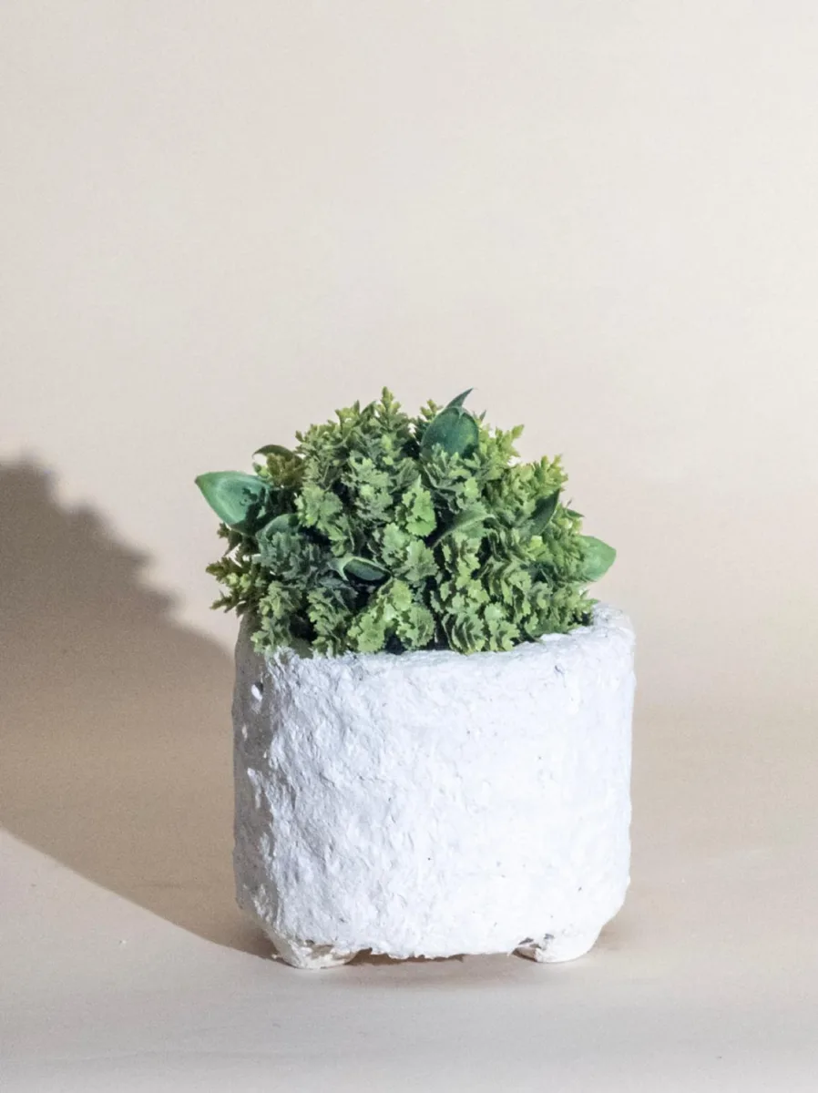 Classic Ceramic Planter — 5.5" Dia × 5.5" Height — Primary View
