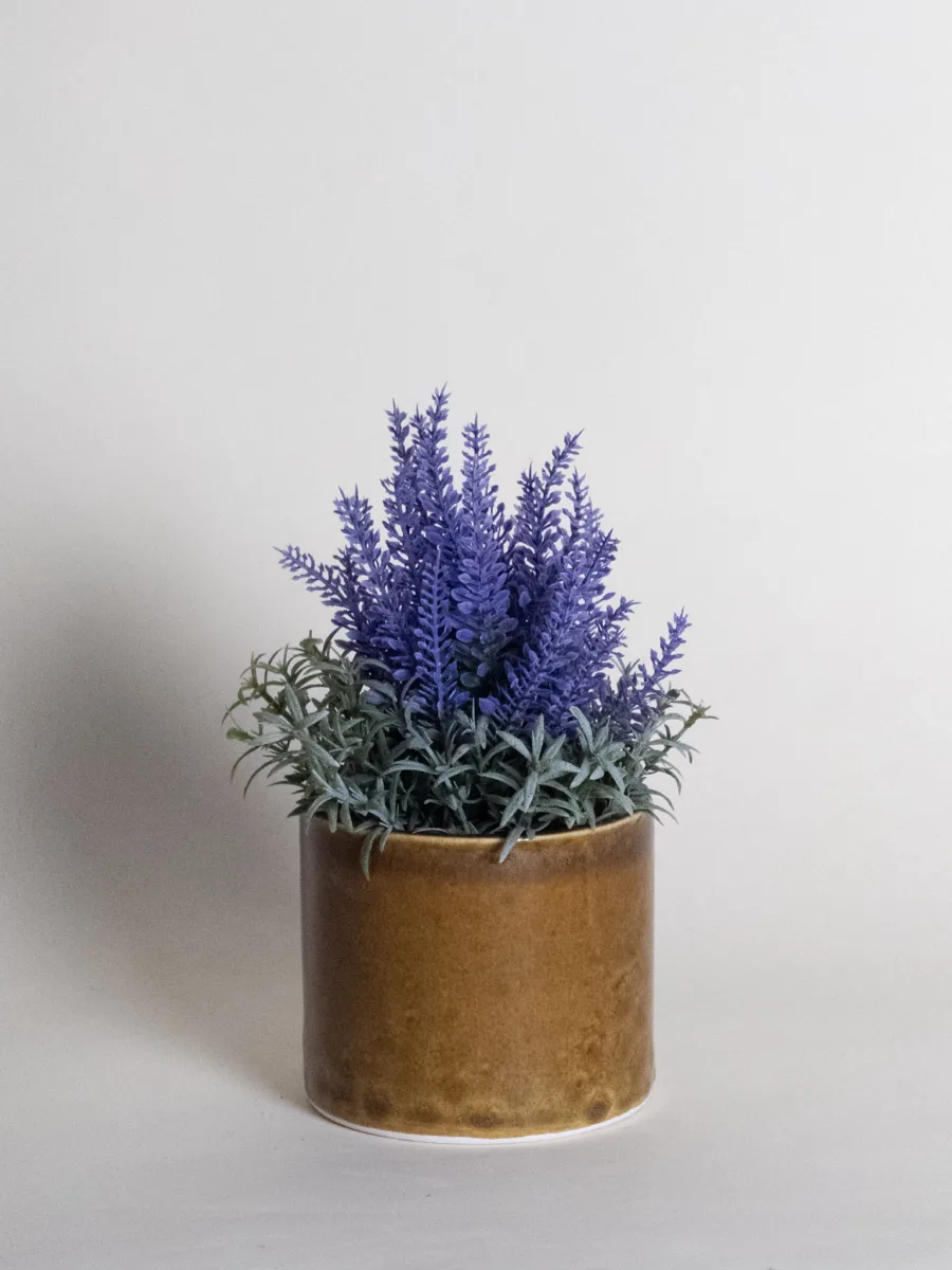 Classic Ceramic Planter — 8" Dia × 12" Height — Primary View
