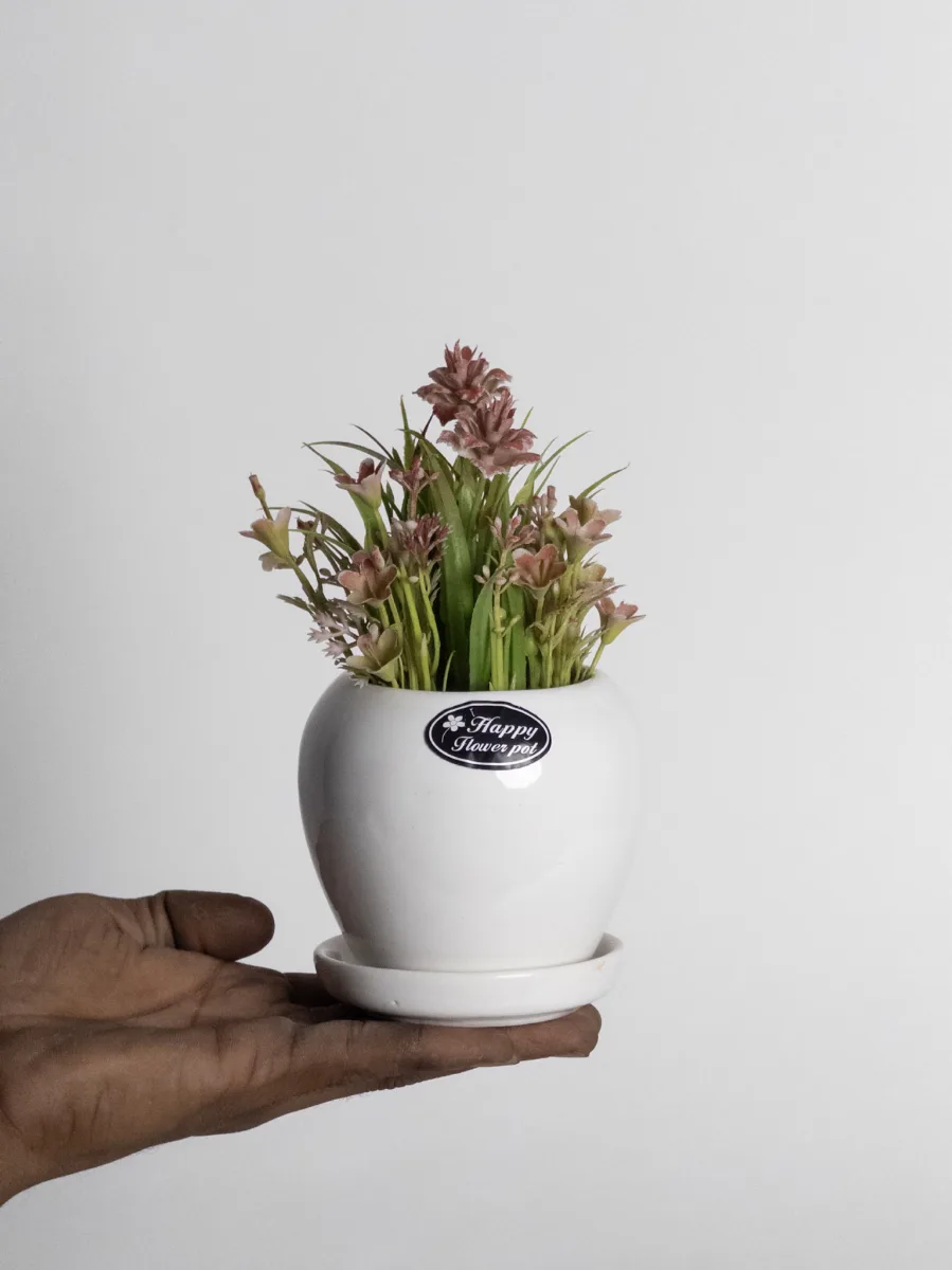 Classic Ceramic Planter — 10" Dia × 10" Height — Primary View