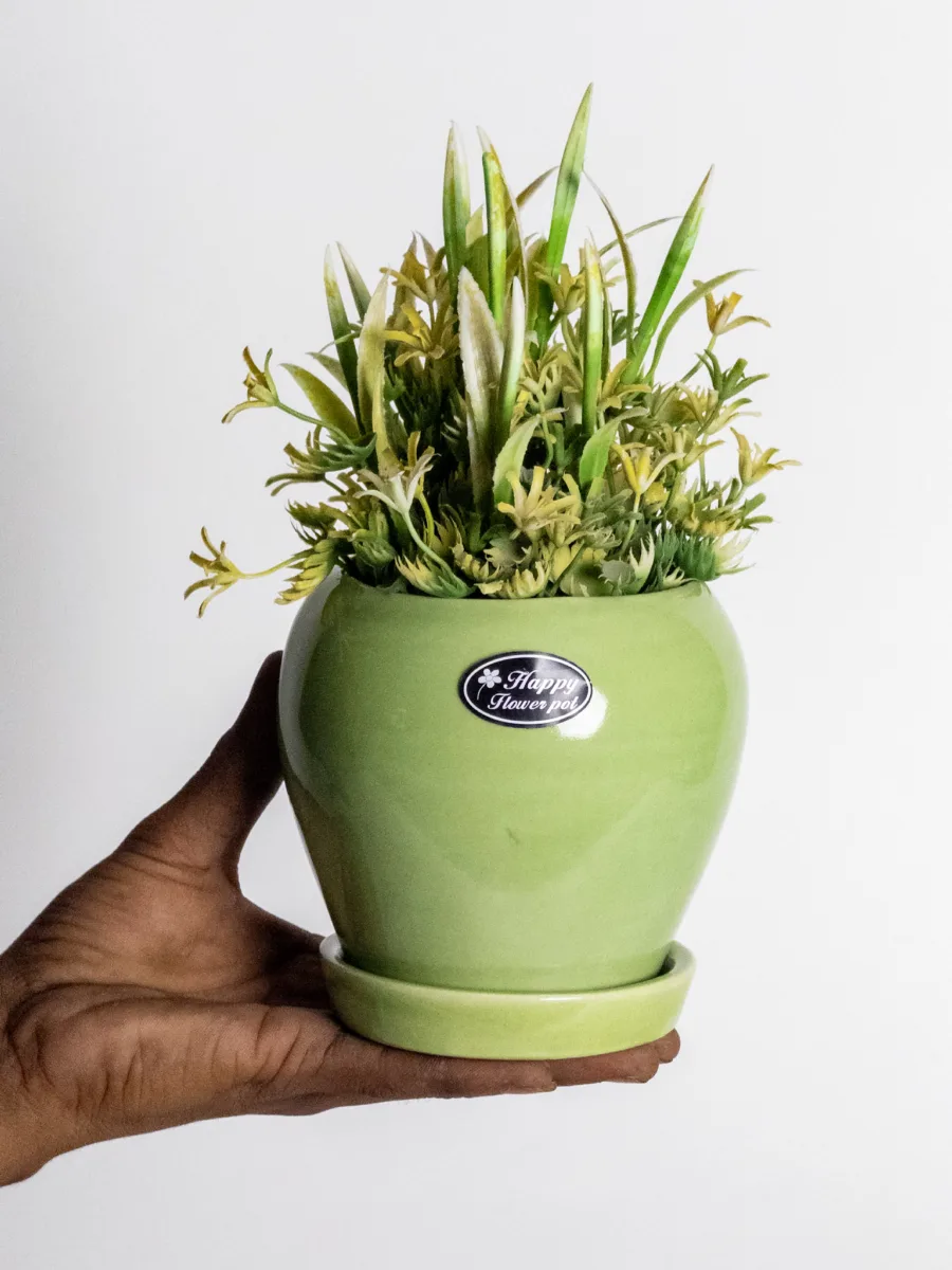 Classic Ceramic Planter — 4" Dia × 3.5" Height — Primary View