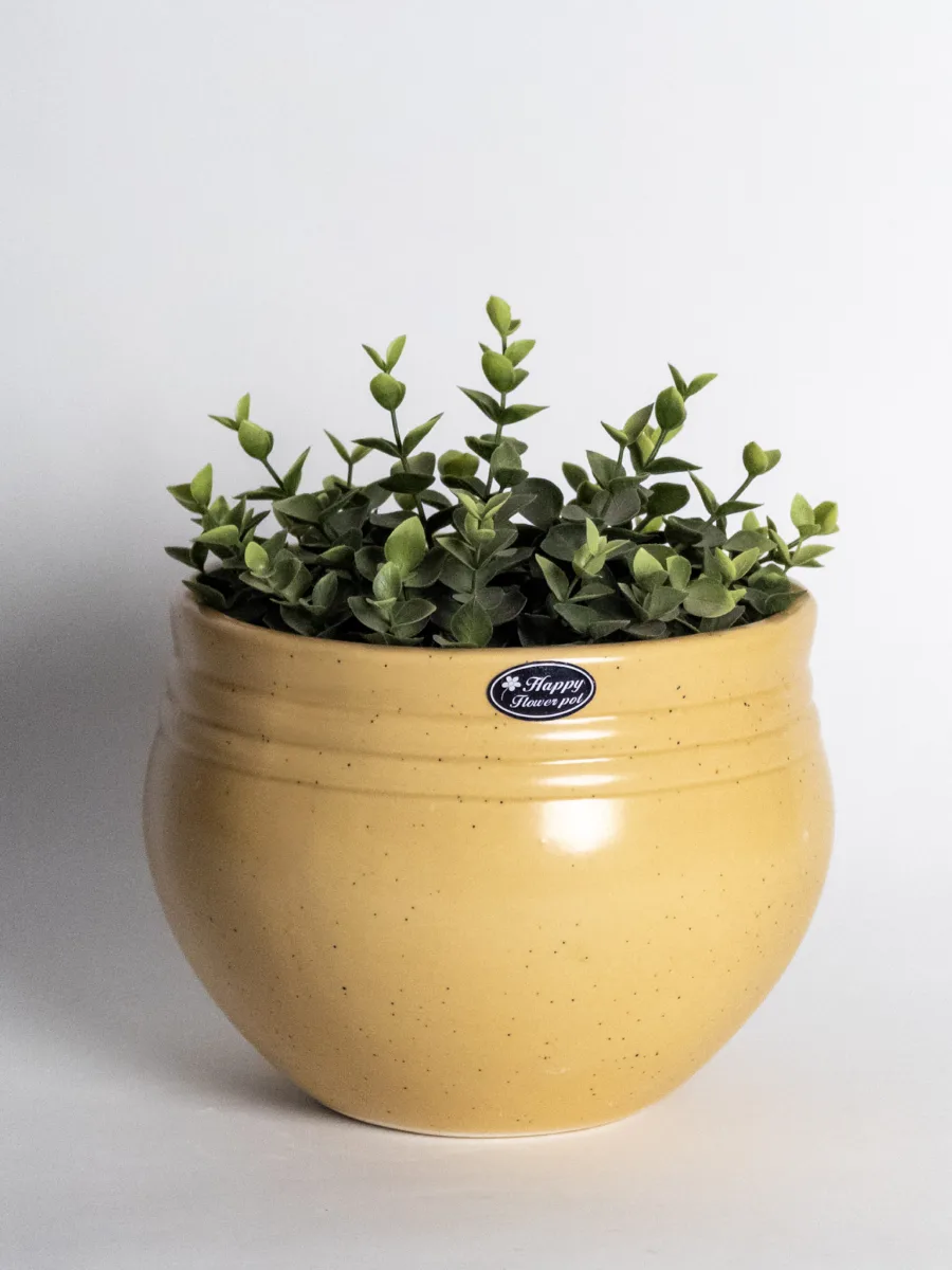 Classic Ceramic Planter — 4" Dia × 3.5" Height — Primary View