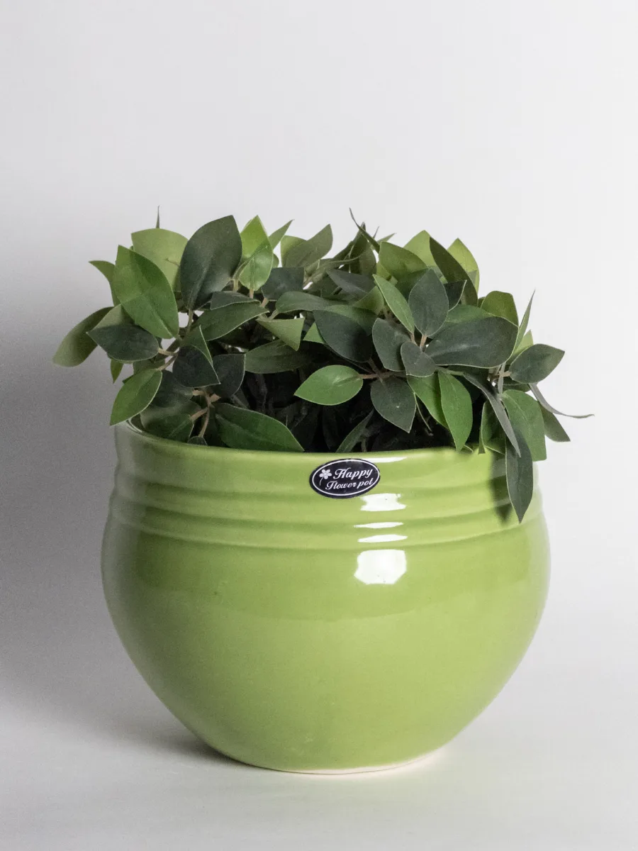 Classic Ceramic Planter — 16" Dia × 3.5" Height — Primary View