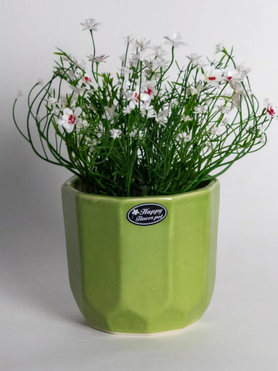 Classic Ceramic Planter — 3.5" Dia × 3.5" Height — Primary View