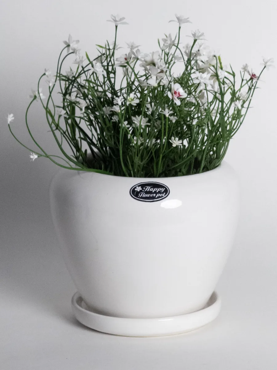 Classic Ceramic Planter — 8" Dia × 7" Height — Primary View