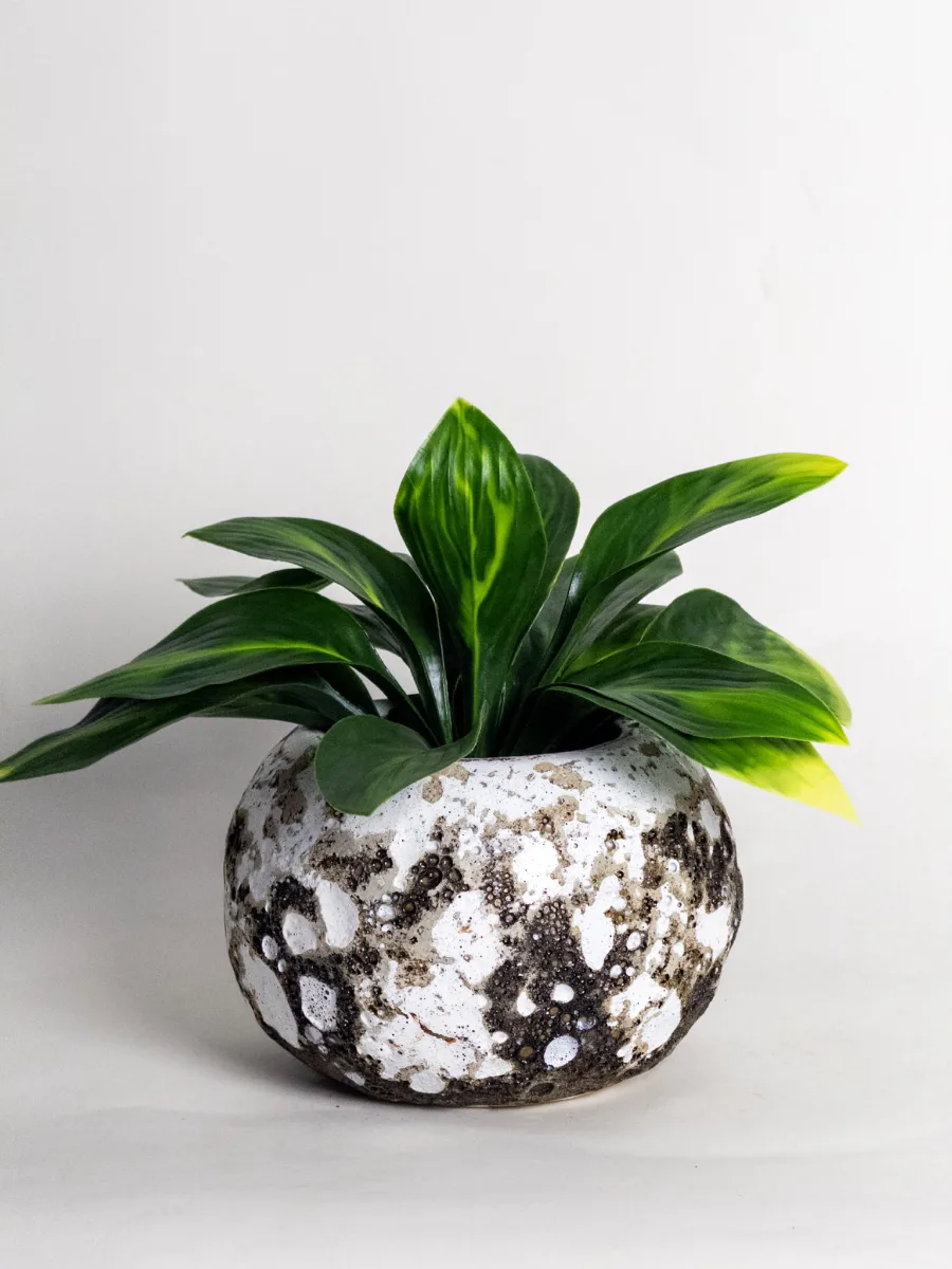 Classic Ceramic Planter — 6.5" Dia × 5.5" Height — Primary View