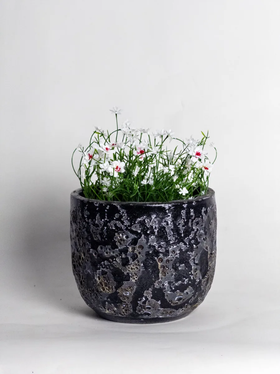 Classic Ceramic Planter — 6" Dia × 5.5" Height — Primary View