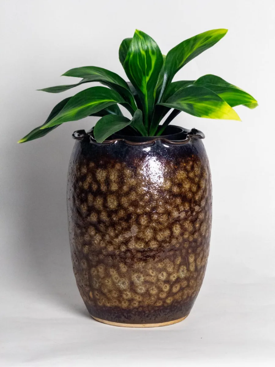 Classic Ceramic Planter — 5.5" Dia × 5" Height — Primary View