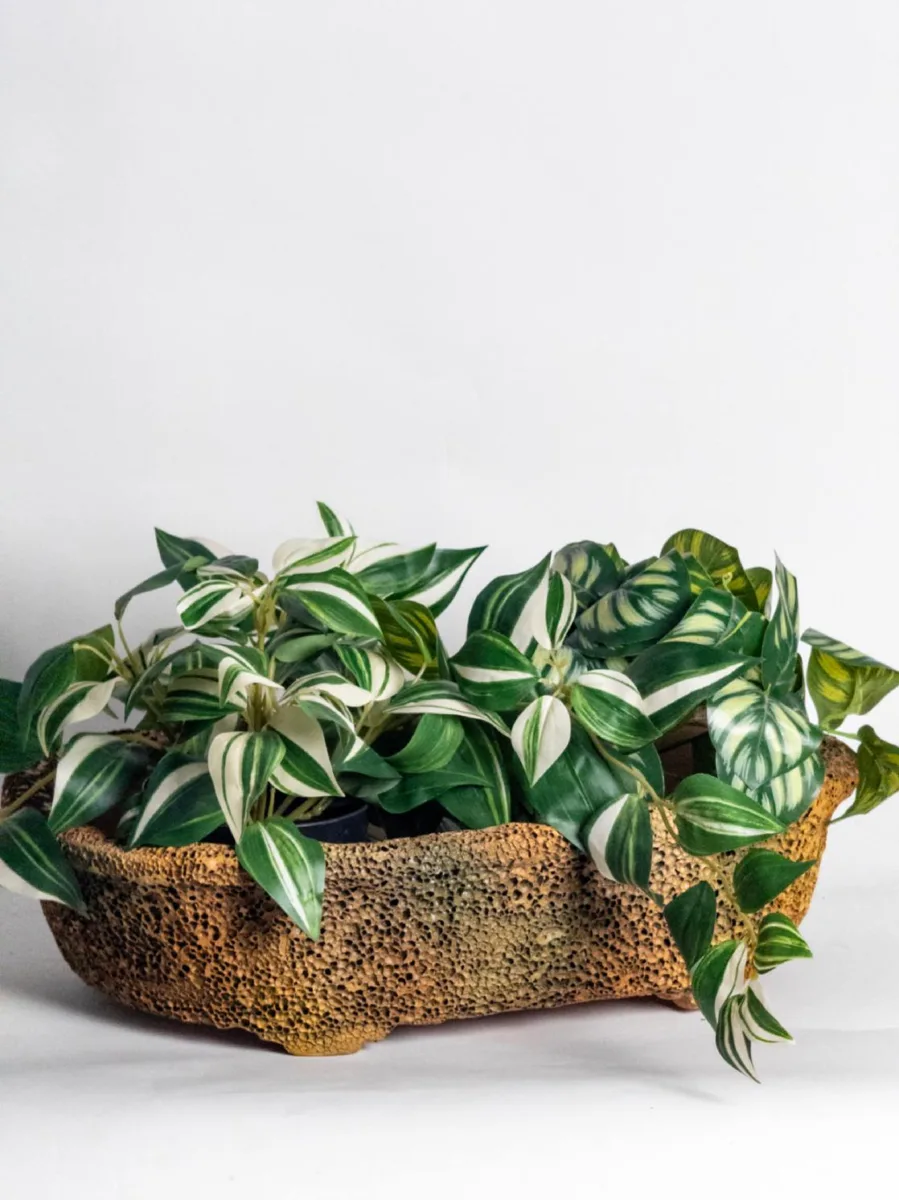 Classic Ceramic Planter — 13" Dia × 7" Height — Primary View