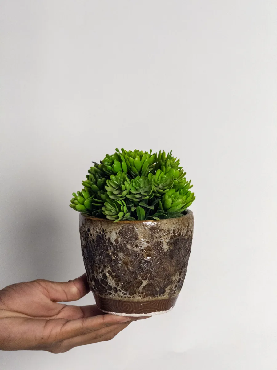 Classic Ceramic Planter — 9" Dia × 5.5" Height — Primary View