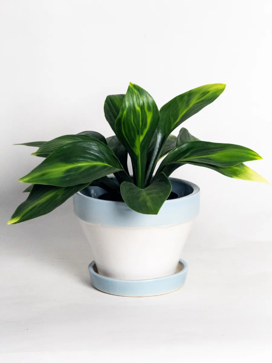 Classic Ceramic Planter Set of 3 (3" Dia) — Primary View