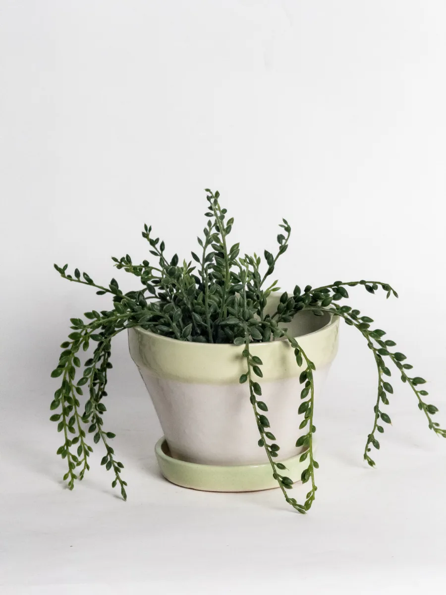 Classic Ceramic Planter — 18.5" Dia × 4.5" Height — Primary View