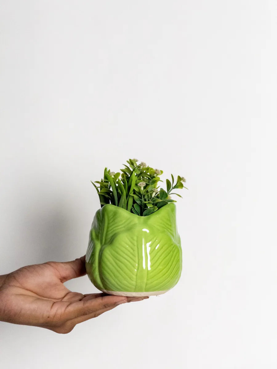 Classic Ceramic Planter — 5.5" Dia × 4" Height — Primary View