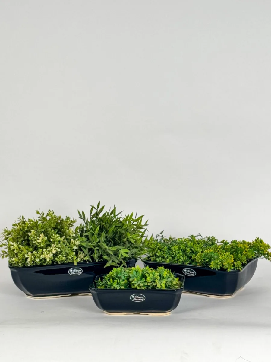 Classic Ceramic Planter — 5.5" Dia × 4" Height — Primary View