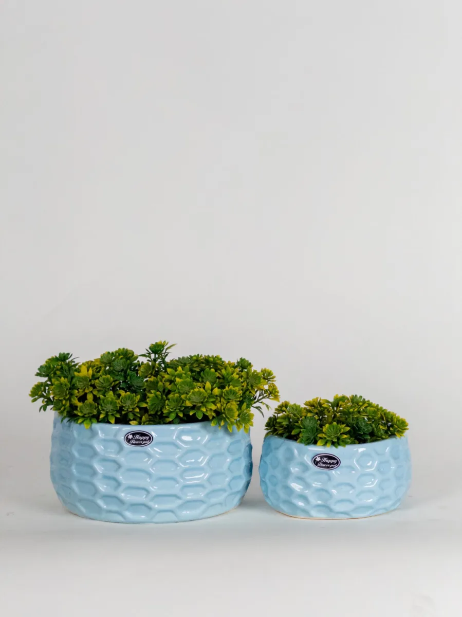 Classic Ceramic Planter — 5" Dia × 3.5" Height — Primary View
