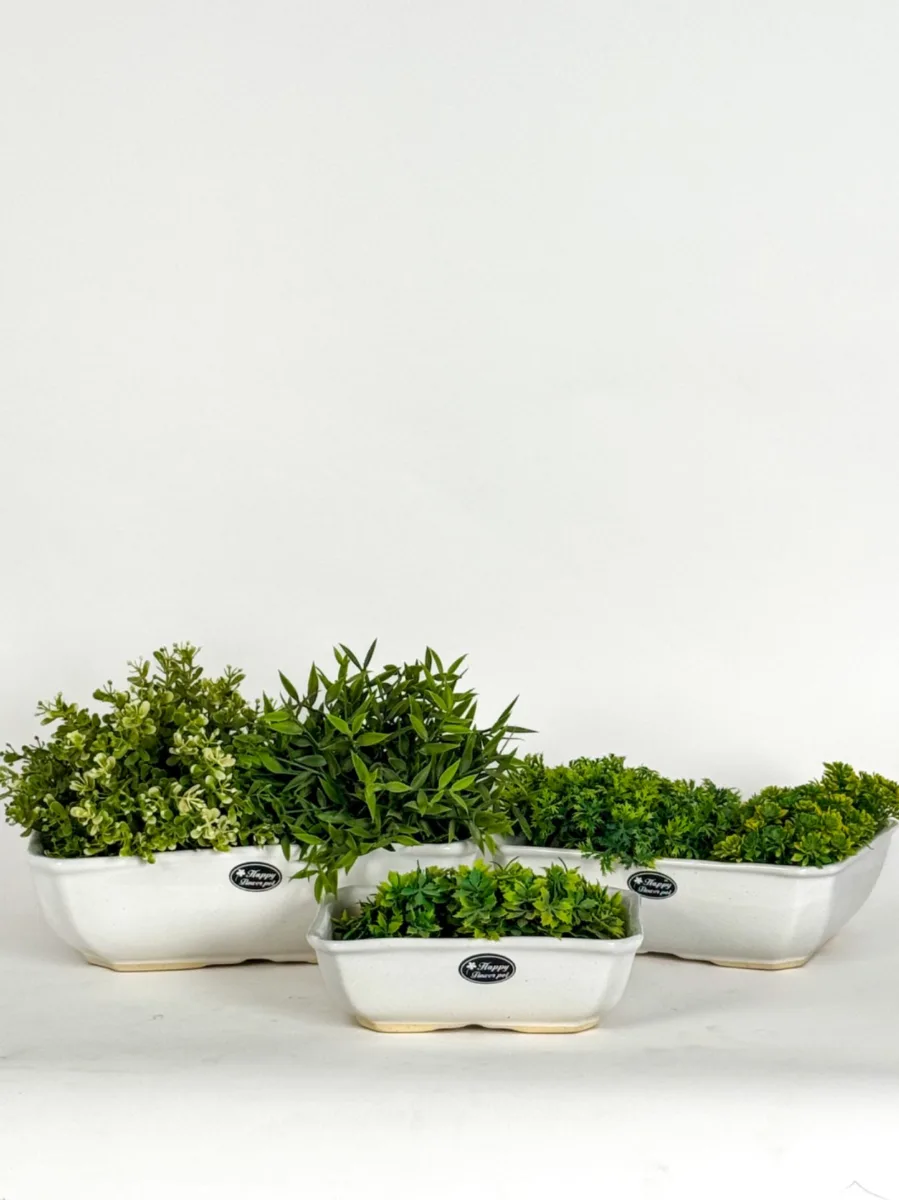 Classic Ceramic Planter — 5" Dia × 3.5" Height — Primary View