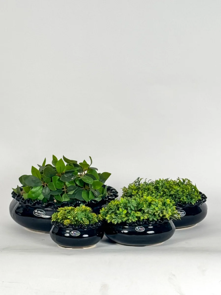 Classic Ceramic Planter — 5" Dia × 4" Height — Primary View