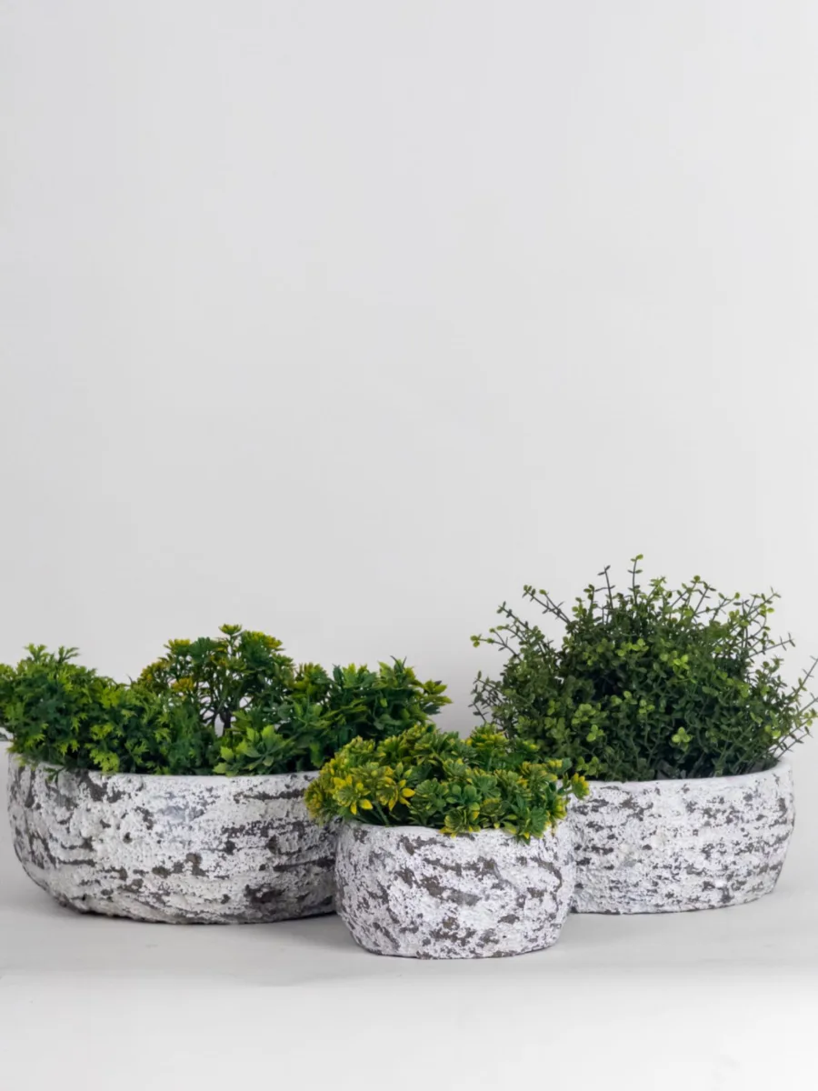 Classic Ceramic Planter Set of 2 (2" Dia) — Primary View