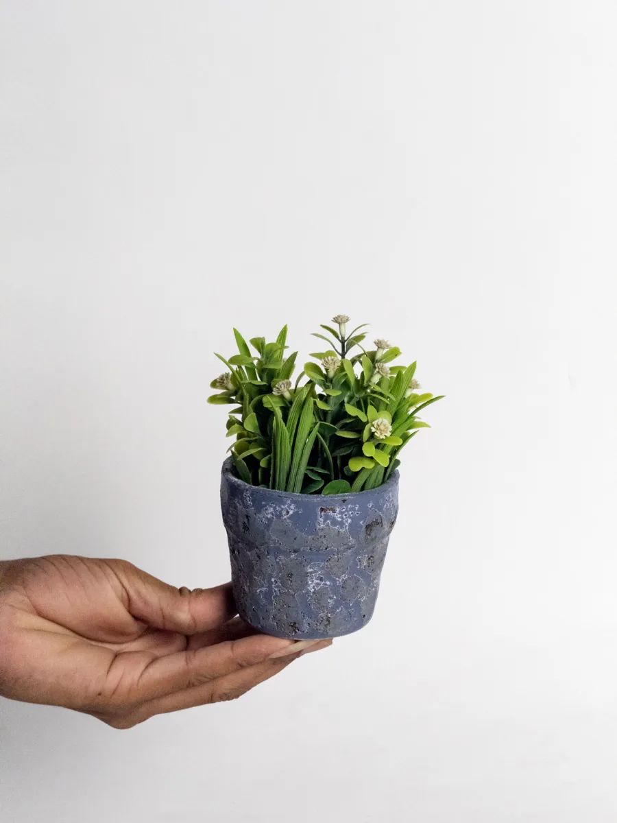 Classic Ceramic Planter — 5" Dia × 5" Height — Primary View