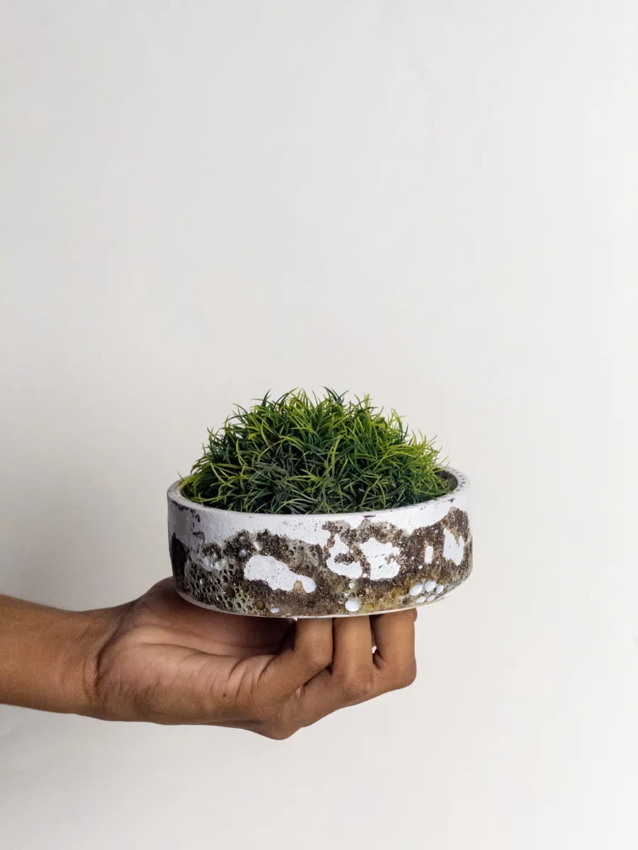 Classic Ceramic Planter — 5" Dia × 5" Height — Primary View