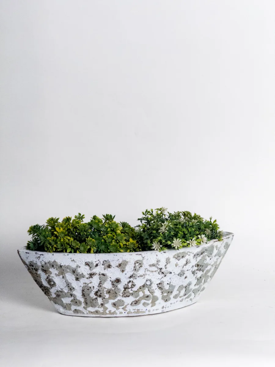 Classic Ceramic Planter — 5.5" Dia × 2" Height — Primary View
