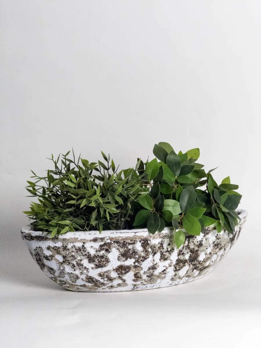 Classic Ceramic Planter — 5.5" Dia × 2" Height — Primary View