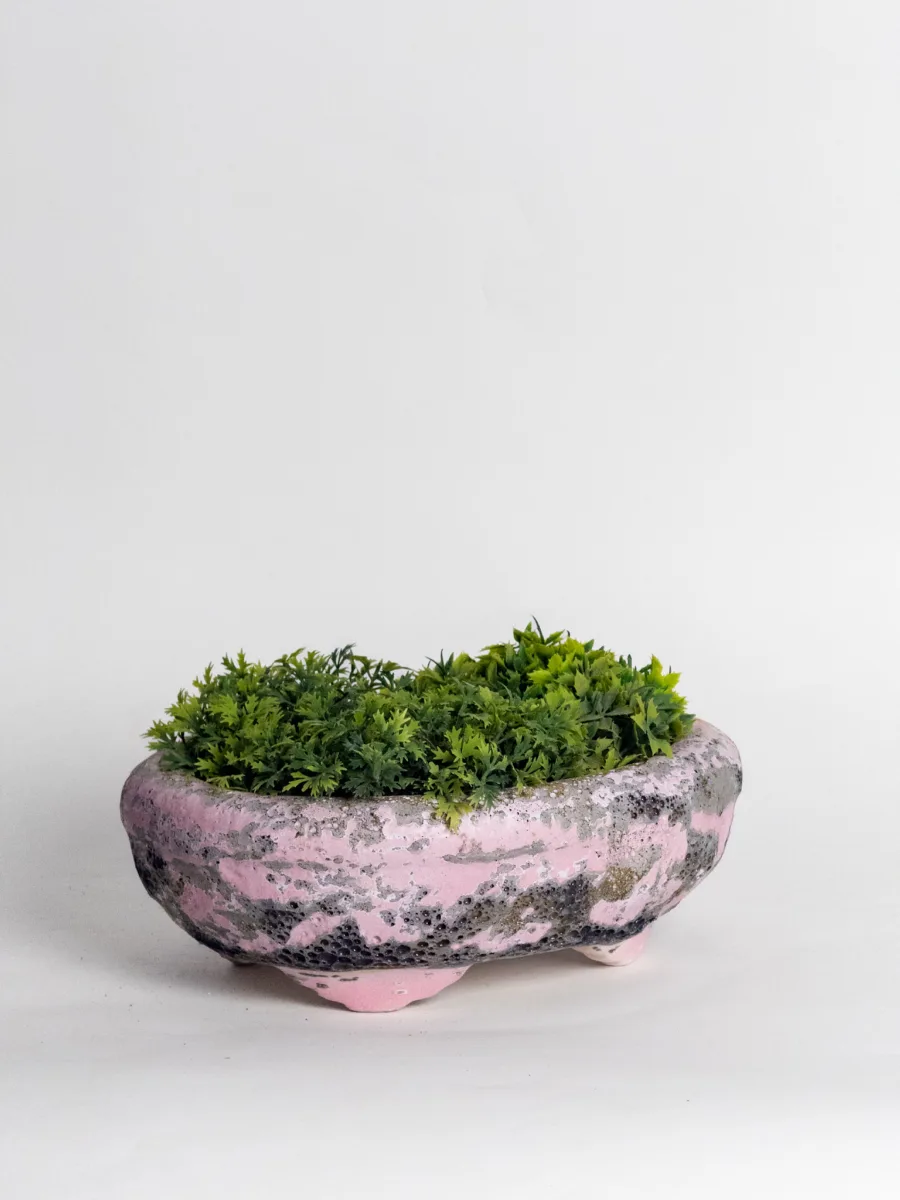 Classic Ceramic Planter — 5.5" Dia × 2" Height — Primary View