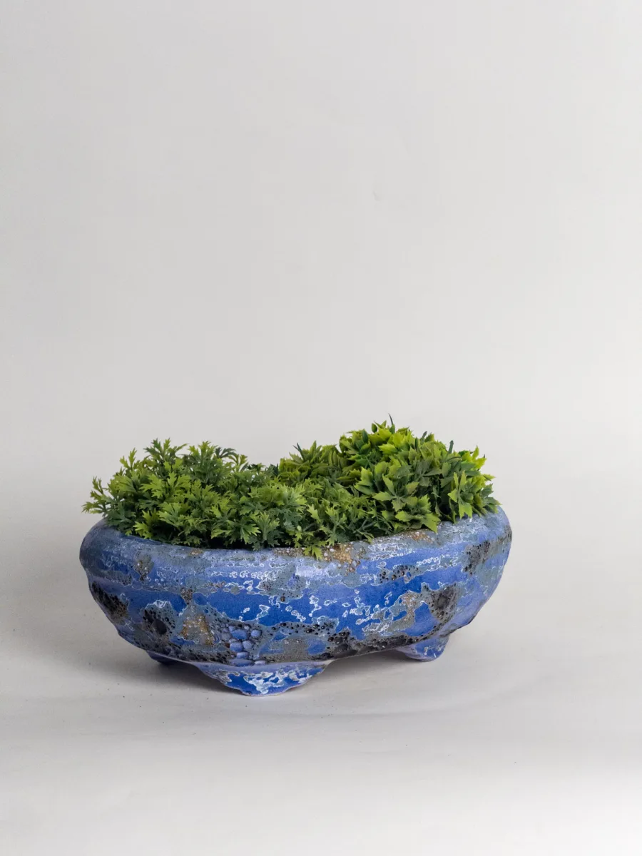 Classic Ceramic Planter — 5.5" Dia × 2" Height — Primary View
