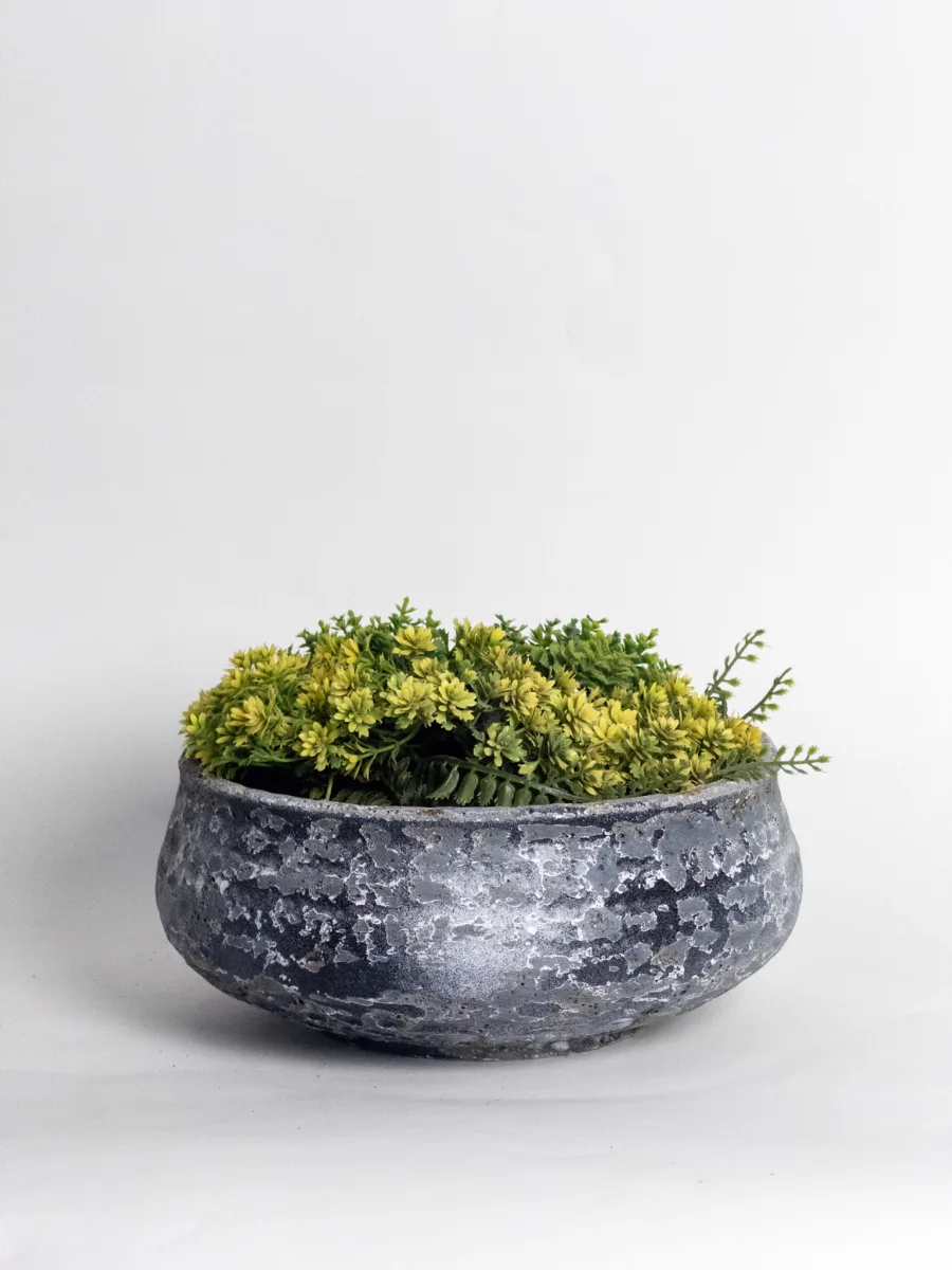 Classic Ceramic Planter — 5.5" Dia × 2" Height — Primary View