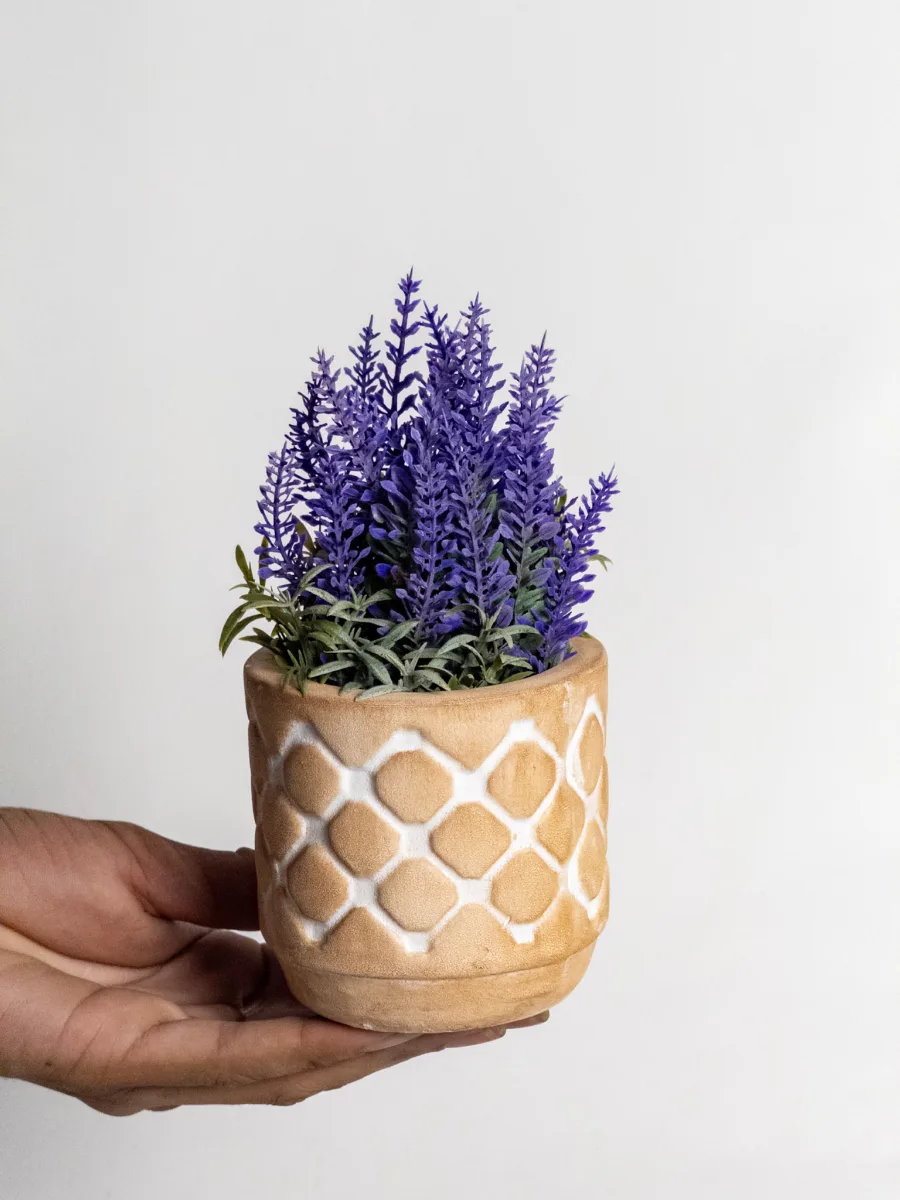 Classic Ceramic Planter — 17" Dia × 4.5" Height — Primary View