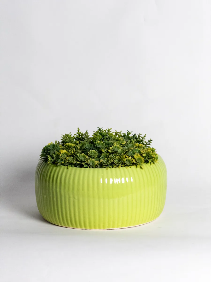 Classic Ceramic Planter — 9.5" Dia × 3" Height — Primary View