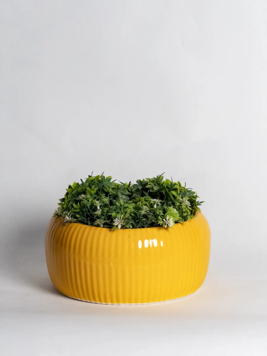 Classic Ceramic Planter — 9.5" Dia × 3" Height — Primary View