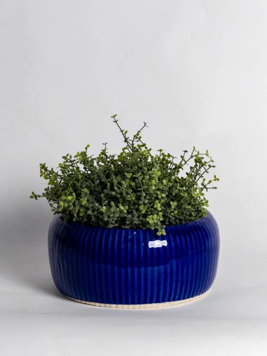 Classic Ceramic Planter — 9" Dia × 4" Height — Primary View