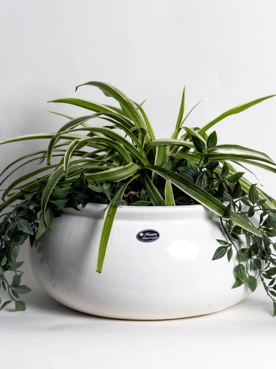 Classic Ceramic Planter — 9" Dia × 4" Height — Primary View