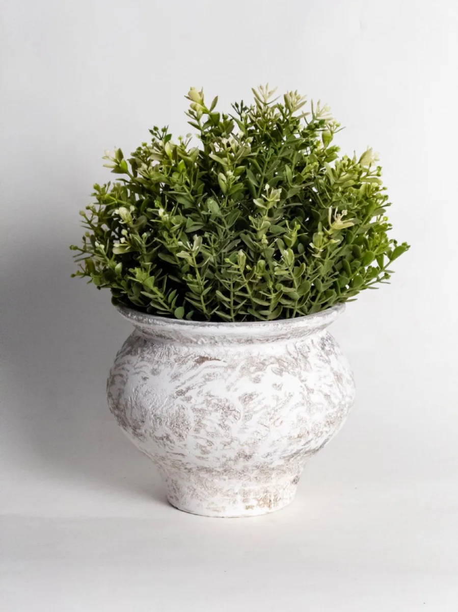 Classic Ceramic Planter — 8" Dia × 4" Height — Primary View