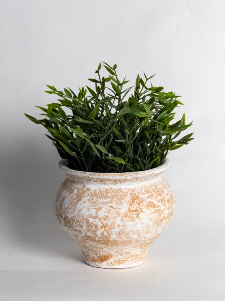 Classic Ceramic Planter — 8" Dia × 4" Height — Primary View