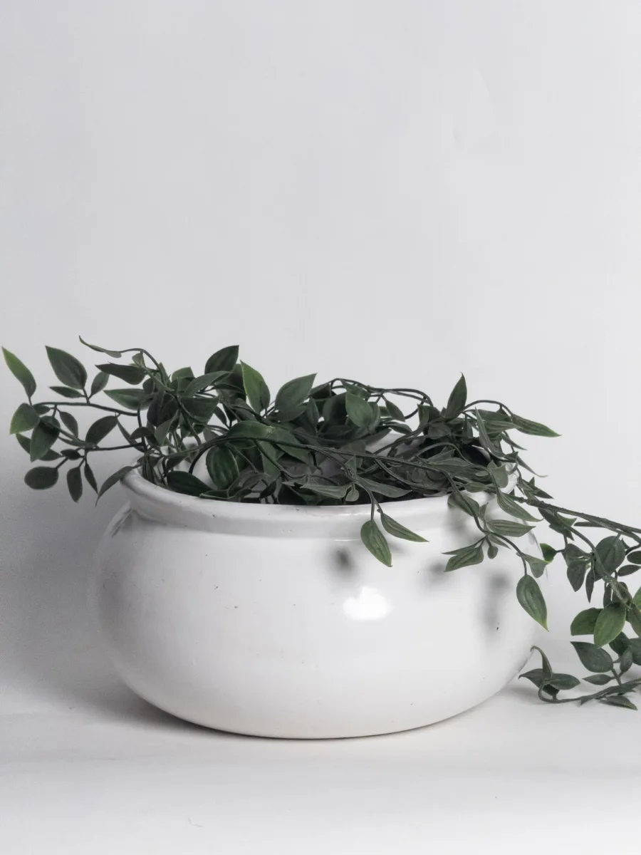 Classic Ceramic Planter — 13" Dia × 7" Height — Primary View