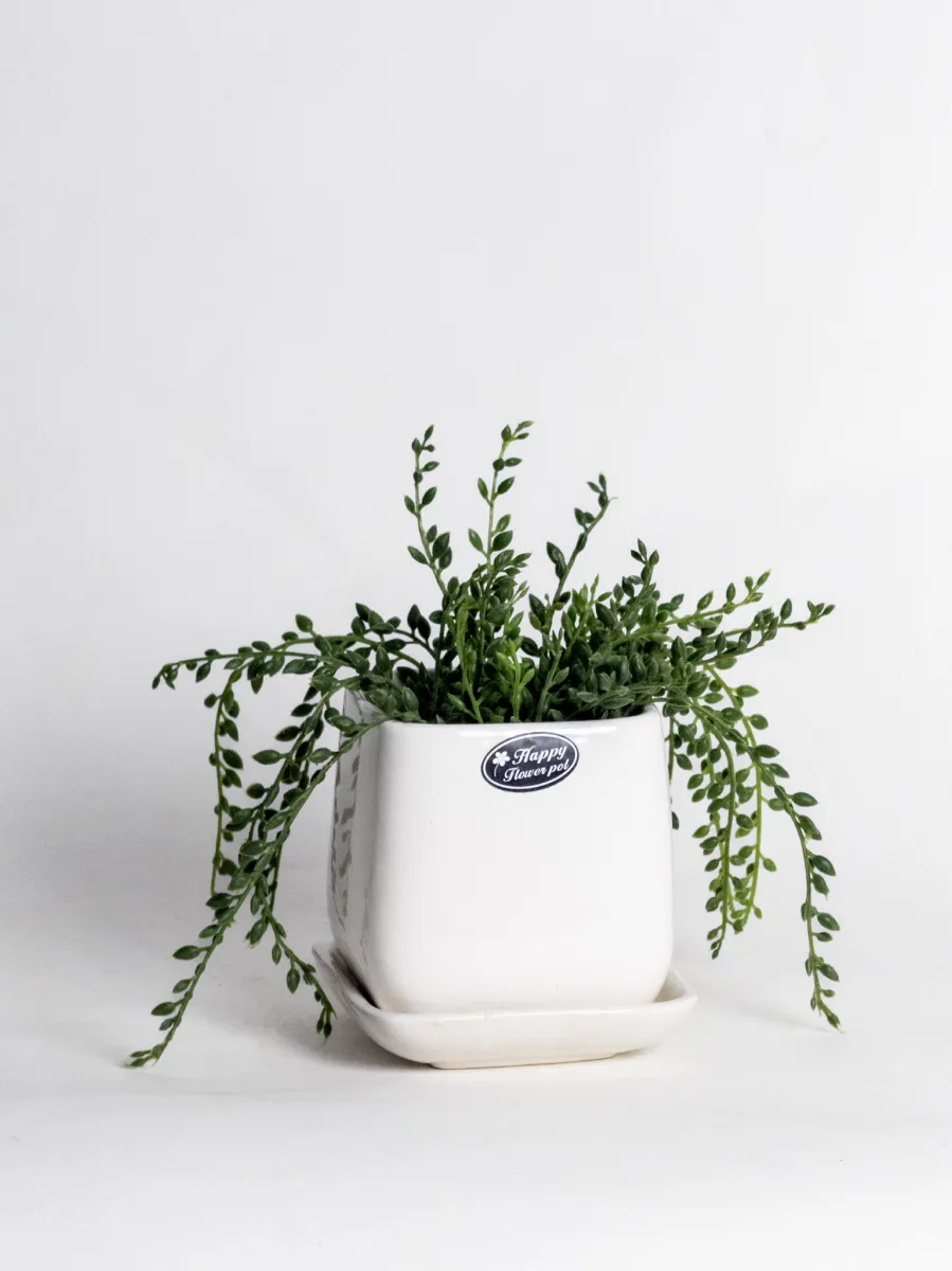 Classic Ceramic Planter — 4" Dia × 3.5" Height — Primary View
