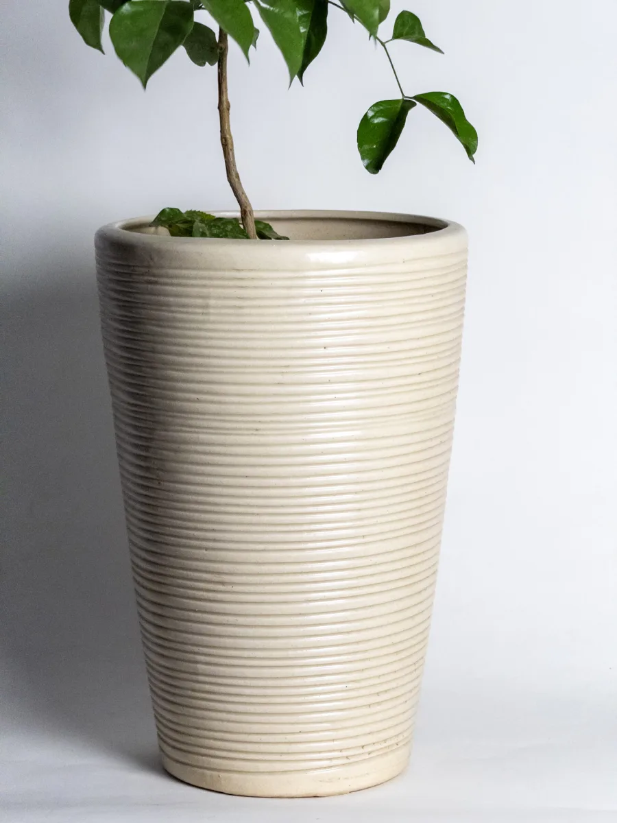 Classic Ceramic Planter — 6" Dia × 5" Height — Primary View