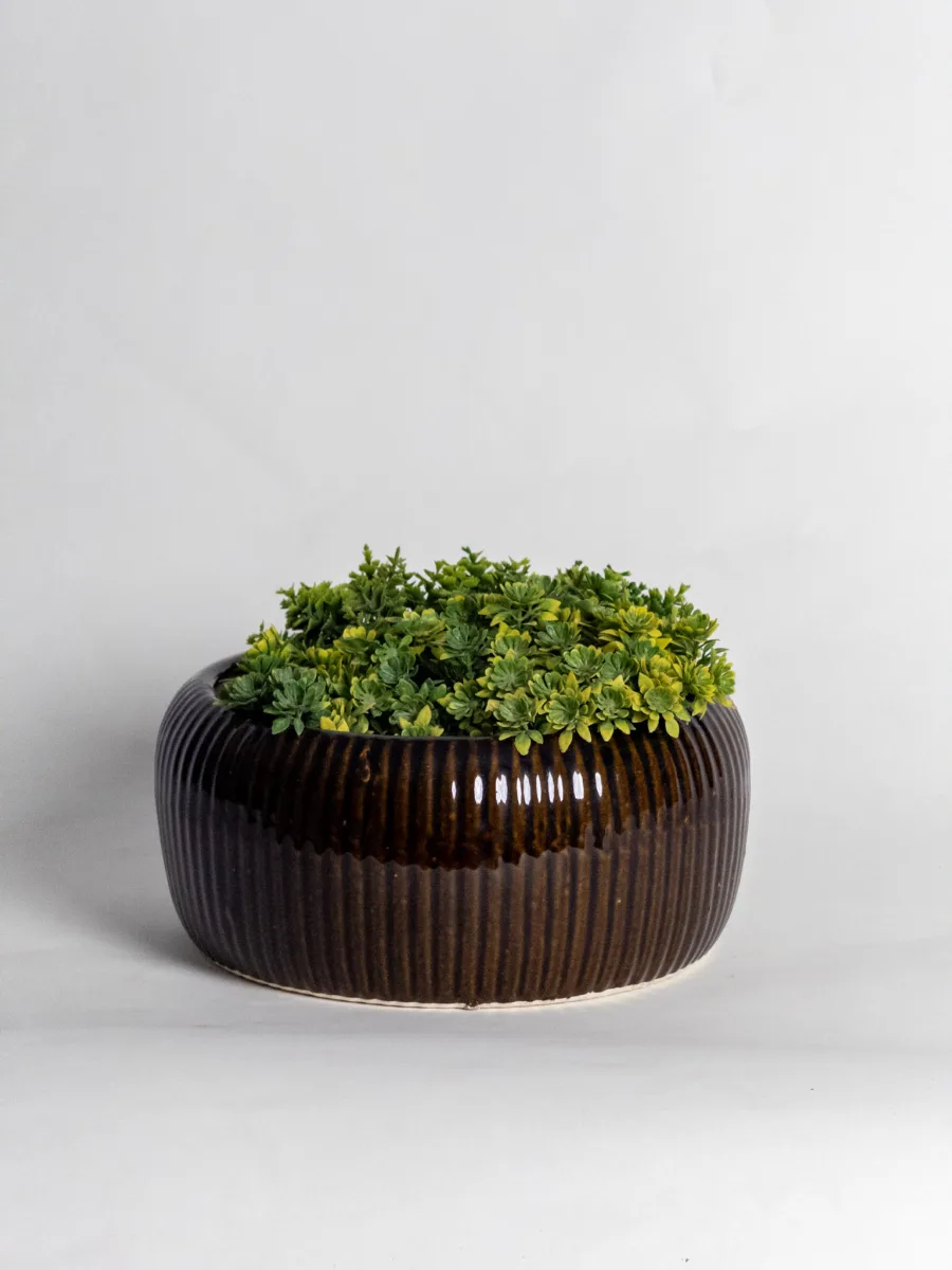 Classic Ceramic Planter — 6" Dia × 5" Height — Primary View