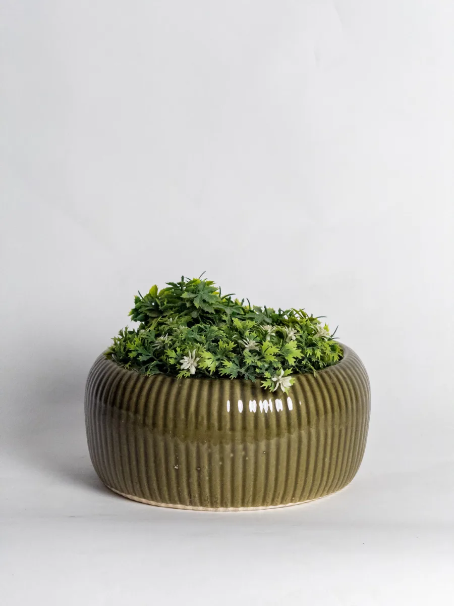 Classic Ceramic Planter — 9" Dia × 4.5" Height — Primary View