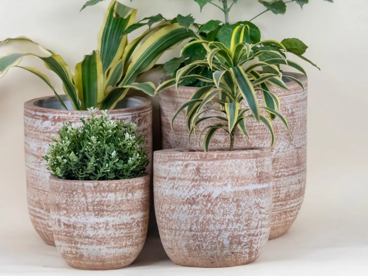 Classic Ceramic Planter Set of 2 (2" Dia) — Primary View