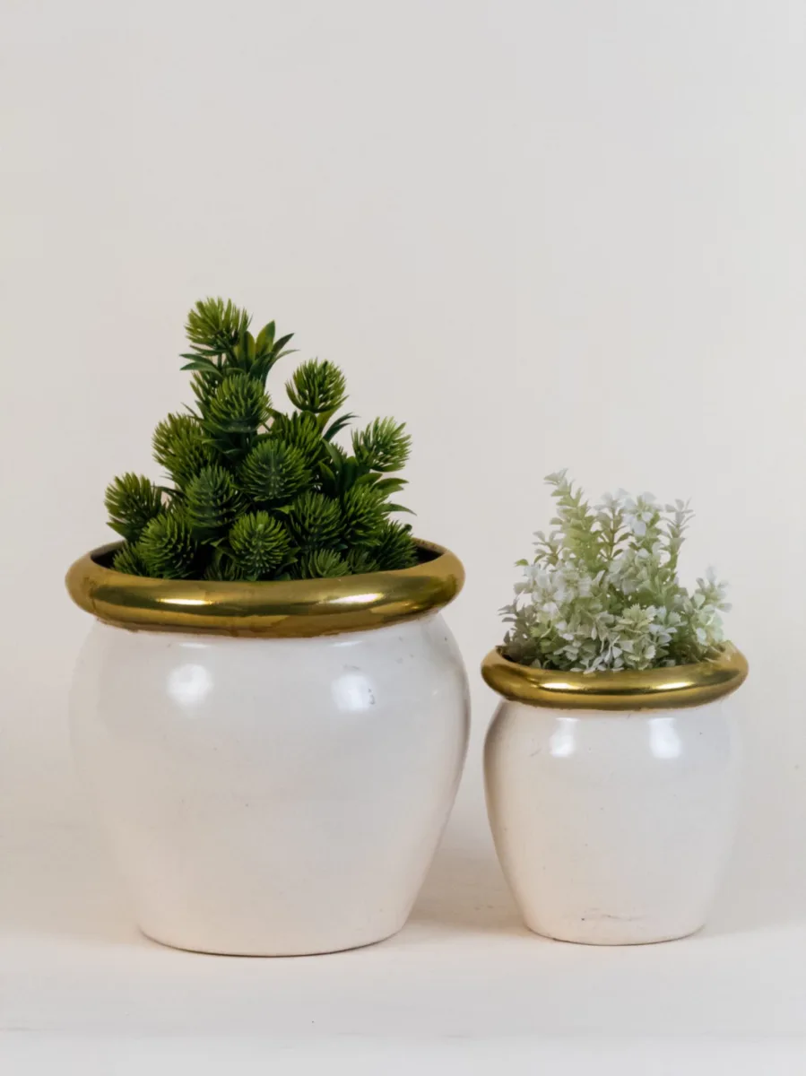 Classic Ceramic Planter Set of 2 (2" Dia) — Primary View