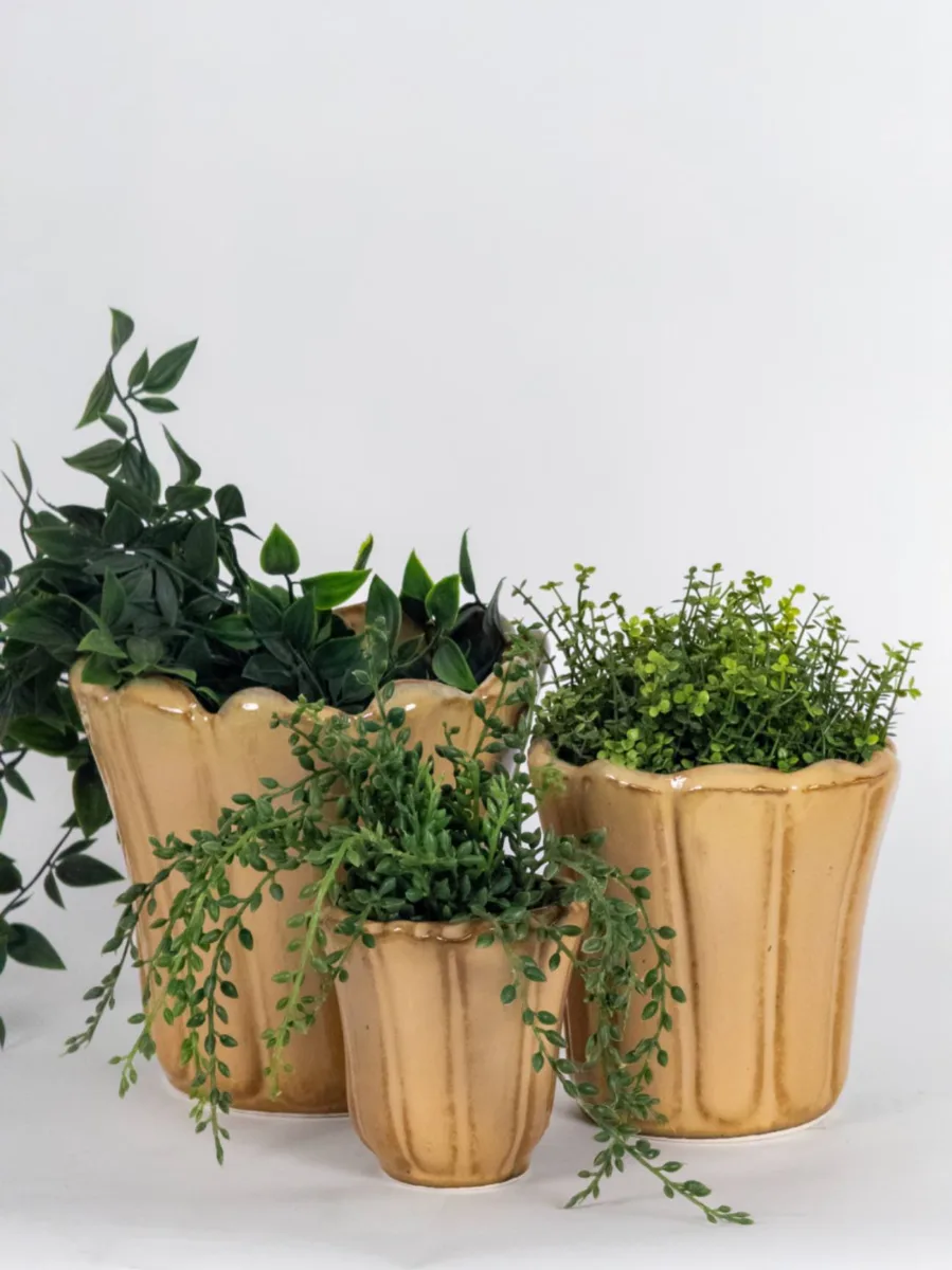 Classic Ceramic Planter Set of 2 (2" Dia) — Primary View